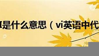 vi的中文意思（view的中文意思）