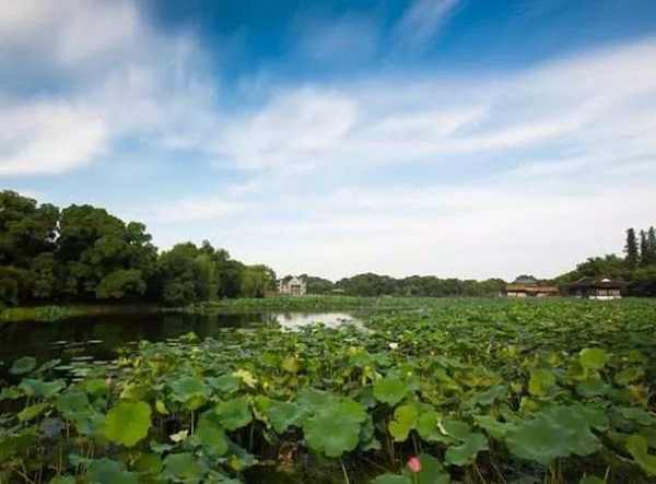 安陽庭園景觀設(shè)計（安陽庭園景觀設(shè)計招標(biāo)）