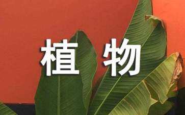 園林景觀設計封面a1（園林景觀設計封面a1）