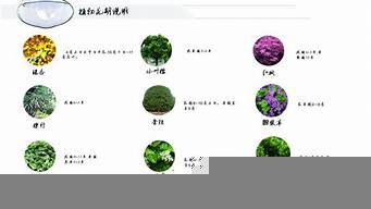 植物景觀設(shè)計(jì)說明