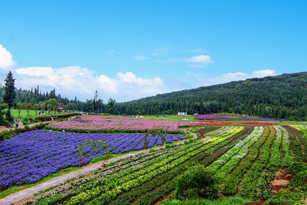 山林景觀設計（山林景觀設計效果圖）