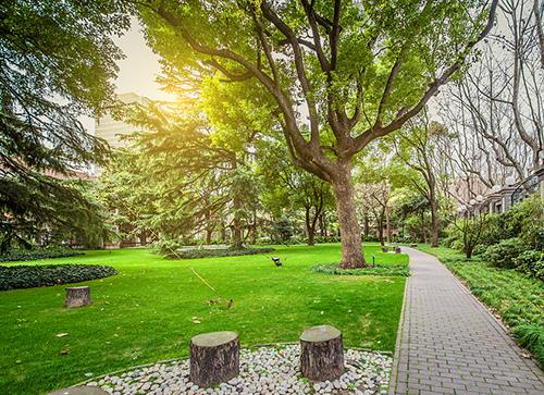 公園景觀設(shè)計案例分析（公園景觀設(shè)計案例分析怎么寫）