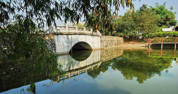 金湖路道路綠化景觀設(shè)計(jì)（金湖路道路綠化景觀設(shè)計(jì)圖）