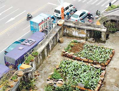 常州車庫屋頂花園景觀設(shè)計（常州立體車庫）