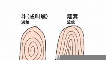 男孩6個(gè)斗代表什么意思（男孩六個(gè)斗是什么命什么意思）