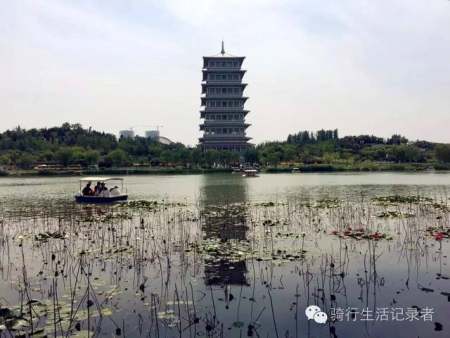 大明宮園林景觀設(shè)計(jì)（大明宮園林景觀設(shè)計(jì)分析）