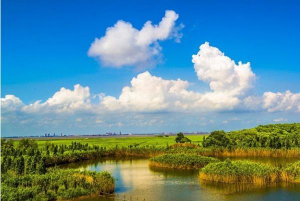 崇明日式花園景觀設(shè)計(jì)公司（崇明日式花園景觀設(shè)計(jì)公司電話）