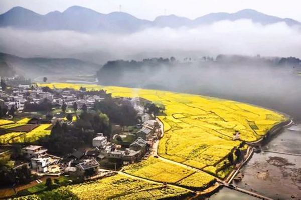 油菜花田景觀設(shè)計(jì)方案（油菜花田景觀設(shè)計(jì)方案）