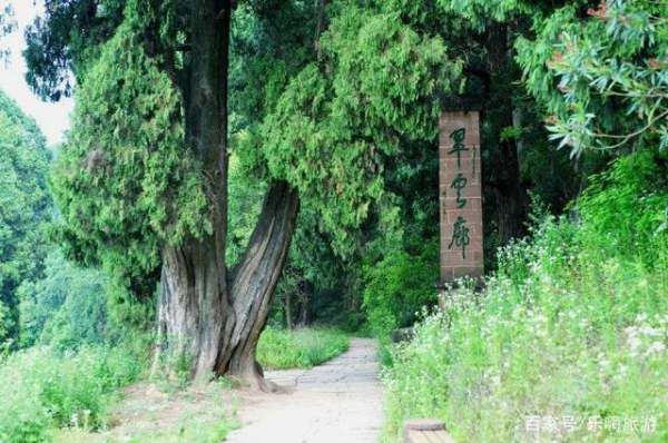 園林景觀設(shè)計(jì)廣元哪里有（廣元園林綠化）