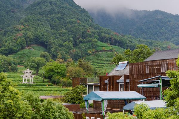 杭州有哪些歷史文化街區(qū)（杭州有哪些歷史文化街區(qū)景點）