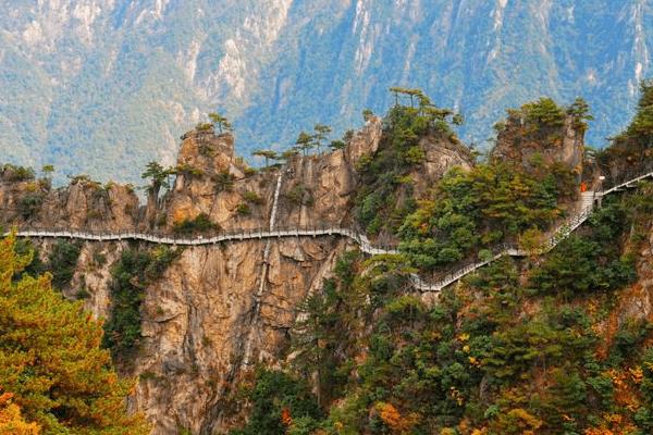 杭州有哪些歷史文化街區(qū)（杭州有哪些歷史文化街區(qū)景點）